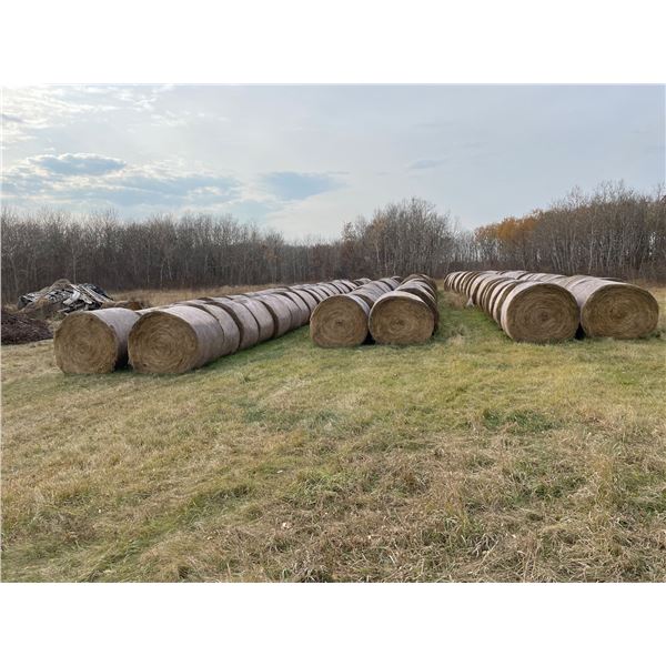 34 Bales of Grass Hay - No rain, net wrapped , Approx 1550 lb bales