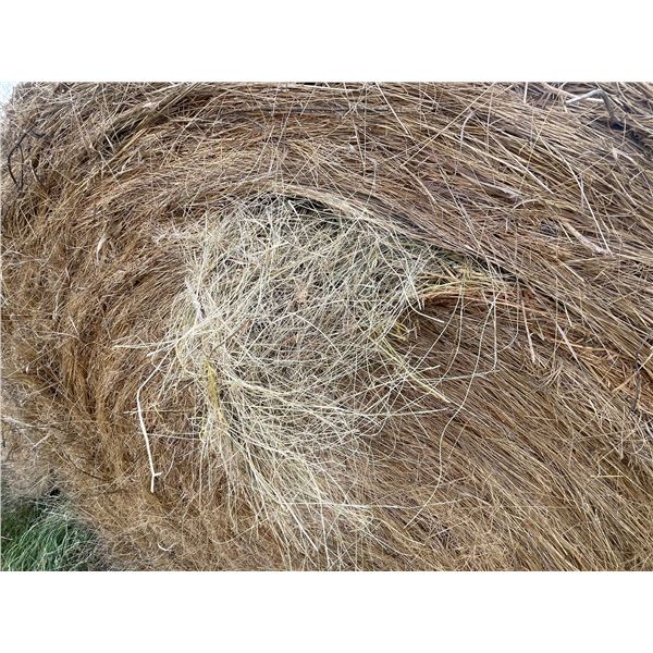 34 Bales of Grass Hay - No rain, net wrapped , Approx 1550 lb bales
