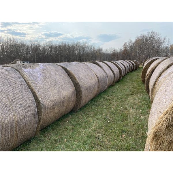 34 Bales of Grass Hay - No rain, net wrapped , Approx 1550 lb bales