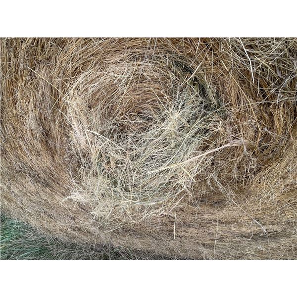 34 Bales of Grass Hay - No rain, net wrapped , Approx 1550 lb bales