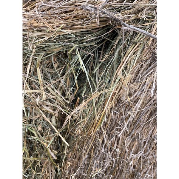 80% Alfalfa Hay, no Rain, Approx 1550 lb bales, Net wrapped