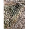 Image 1 : 80% Alfalfa Hay, no Rain, Approx 1550 lb bales, Net wrapped