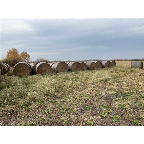 80% Alfalfa Hay, no Rain, Approx 1550 lb bales, Net wrapped