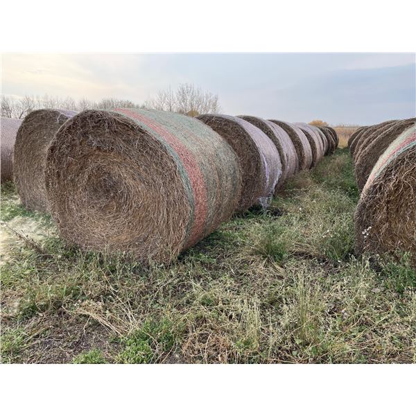 80% Alfalfa Hay, one rain, Treated with Gemdust, Approx 1550 lb bales, Net wrapped