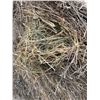 Image 2 : 80% Alfalfa Hay, one rain, Treated with Gemdust, Approx 1550 lb bales, Net wrapped