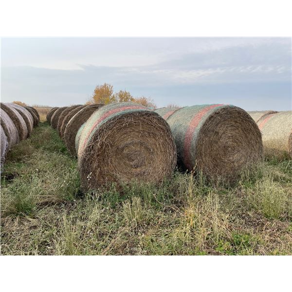 80% Alfalfa Hay, one rain, Treated with Gemdust, Approx 1550 lb bales, Net wrapped
