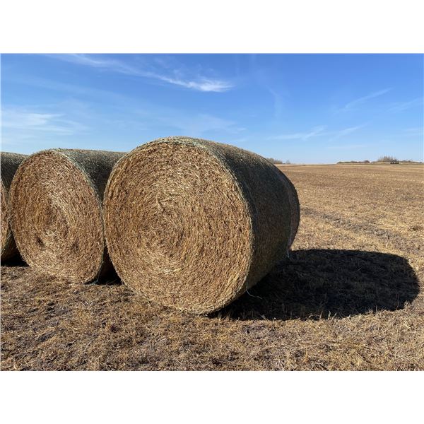Pea Straw, Net wrapped with Kubota Baler, Walker combine