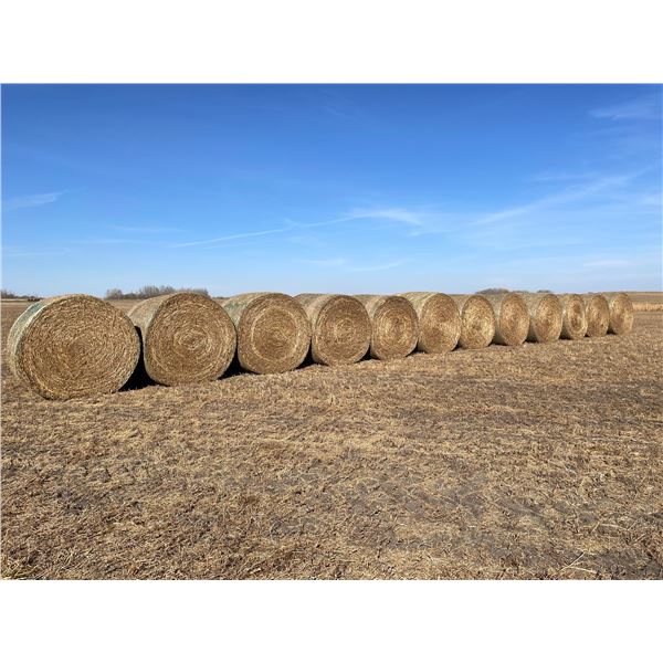 Pea Straw, Net wrapped with Kubota Baler, Walker combine