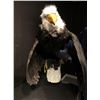 Image 2 : Reproduction loose Mount Eagle with letter of Authentication