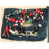 Image 1 : Group of assorted NHL Action Figures with Vancouver Canucks Towel