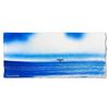 Image 2 : Fluke by Wyland Original