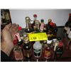 Image 1 : 1 LOT OF COLLECTOR MICRO MICKEY BOTTLES