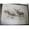 Image 1 : PICTURE OF 2 ELK