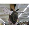 Image 1 : MOOSE