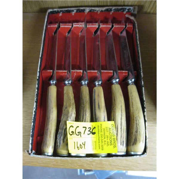 SET OF BONE HANDLED STEAK KNIVES