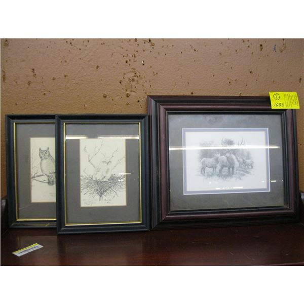 3 FRAMED PRINTS, 2 OWLS & AN ELK