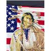 Image 2 : Vintage USA Native American Flag