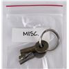 Image 5 : Pair of Old Rail Road Keys