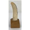 Image 2 : Alaskan Inuit Eskimo Scrimshaw Whale Tooth