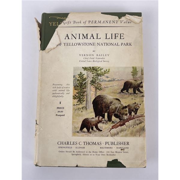 Animal Life Of Yellowstone National Park