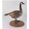 Image 1 : Big Sky Carvers Masters Edition Wood Goose Decoy