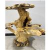 Image 10 : Custom Made Burl Root Multi Tiered Table