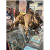 Image 1 : Bull