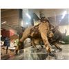 Image 2 : Bull
