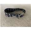Image 1 : Pet collar