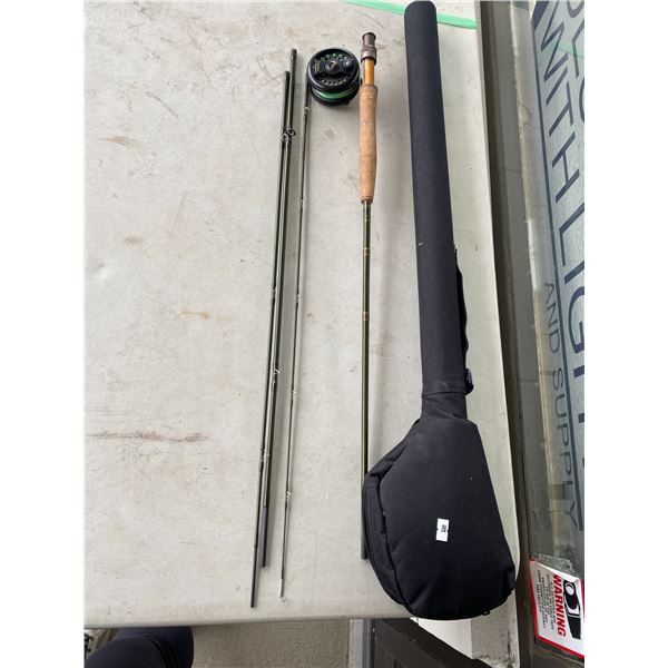 Dragonfly with case