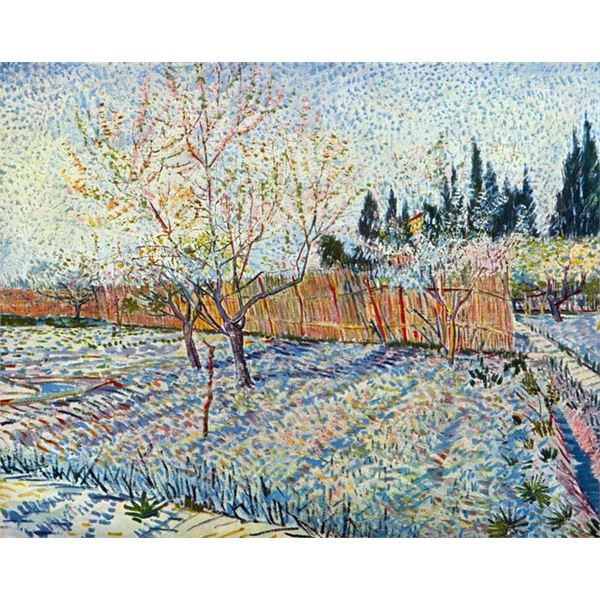 Van Gogh - Orchard With Cypress