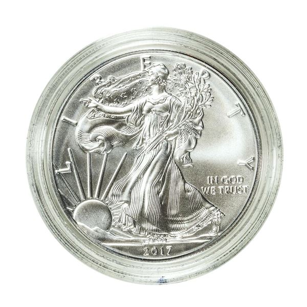 2017-W $1 Burnished American Silver Eagle Coin