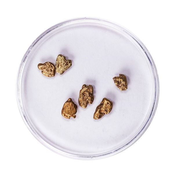 Lot of Gold Nuggets 2.35 Grams Total Weight