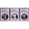Image 1 : Lot of 1991-1993 $1 Proof American Silver Eagle Coins NGC PF69 Ultra Cameo