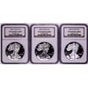 Image 1 : Lot of 2003-2005 $1 Proof American Silver Eagle Coins NGC PF69 Ultra Cameo