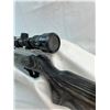 Image 3 : Rueger 10/22 with Scope and Case