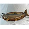 Image 1 : Pike