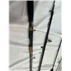 Image 2 : 3 Fishing Poles