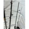 Image 3 : 3 Fishing Poles