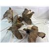 Image 1 : 4 Wall Hanging Bird Mounts