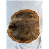 Image 1 : Beaver Pelt