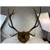 Image 1 : Elk Mount