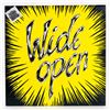 Image 1 : WIDE OPEN - VARIOUS - VINYL LP RECORD ALBUM