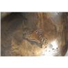 Image 6 : Bronze Figure of a Reclining Nude, Signed and numbered C.L. 1/6, '75.
