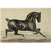 Image 1 : G. S. Richardson, Equestrian Drawing, Pen and Ink,