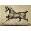 Image 1 : G. S. Richardson, Equestrian Drawing, Pen and Ink,