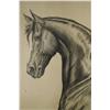 Image 4 : G. S. Richardson, Equestrian Drawing, Pen and Ink,