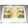 Image 7 : The Sphere of Rocks and Water, Limited edition hardbound book, by J.G. Lubbock, signed by author/art