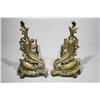 Image 1 : A Pair of Louis XV Style Chenets.