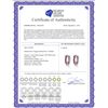 Image 2 : Genuine 1.30 ctw Ruby Earrings 14KT White Gold - REF-39H6X